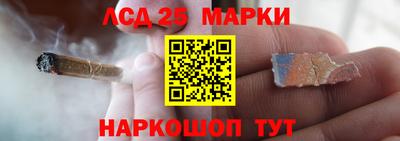скорость Кингисепп