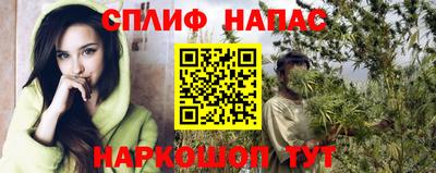 хмурый Кинель