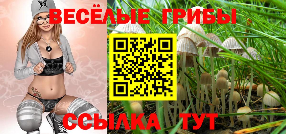 Галлюциногенные грибы Cubensis  Вход с VPN  Красноуфимск 